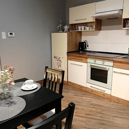 Dwupoziomowy Dom Na Patio Kosciuszki Self-check-in * Katowice