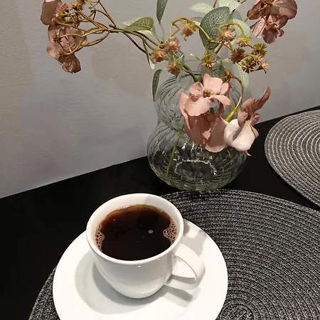 Dwupoziomowy Dom Na Patio Kosciuszki Self-check-in *